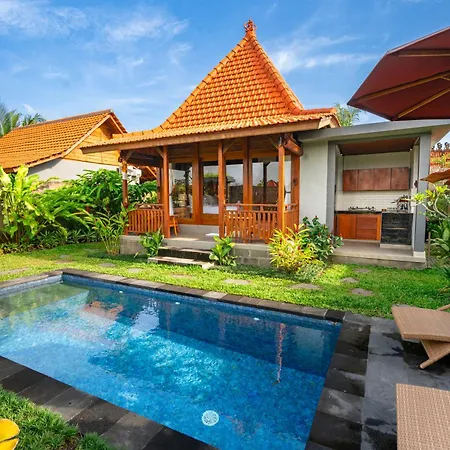 Shankara D\'Uma